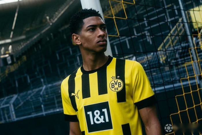 一只河蟹的 一只河蟹的