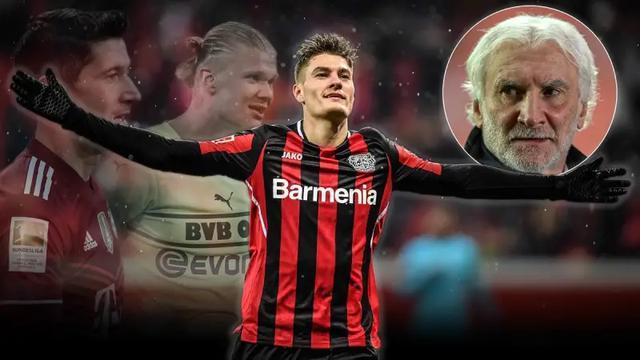 自然新增提 自然新增提