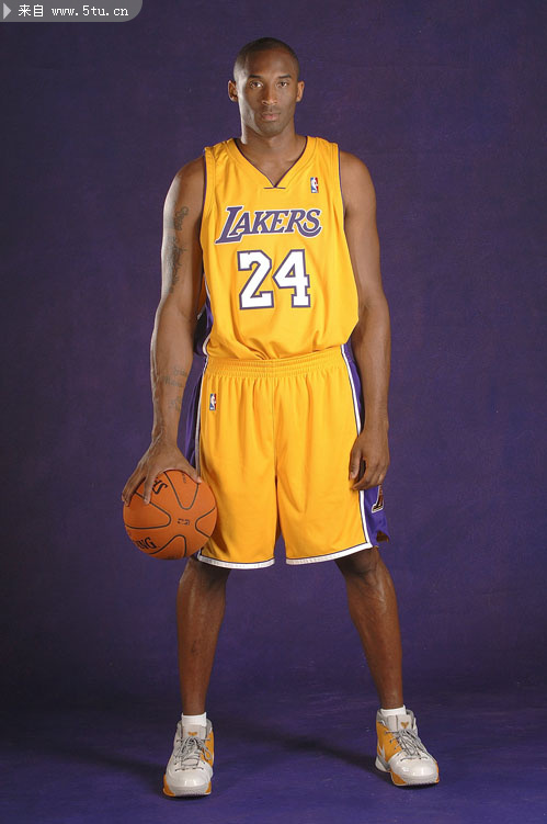 的天王级引 的天王级引